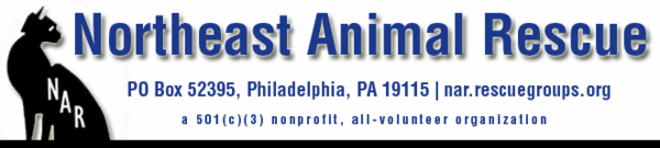 Northeast Animal Rescue